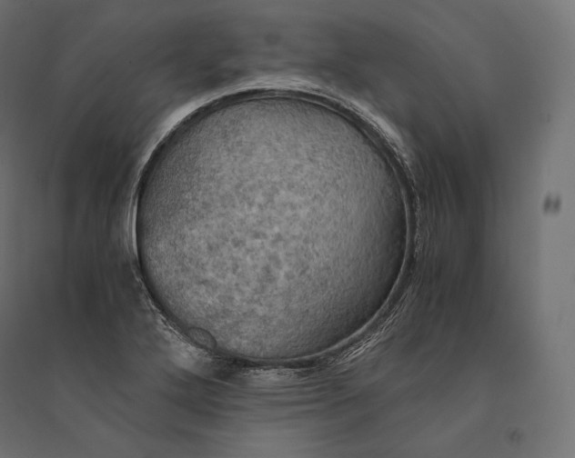 X0000094371272200711241952