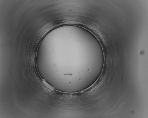 X0000094371273200711241952