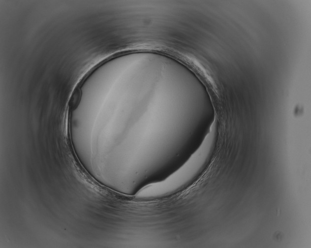 X0000094371276200711241952