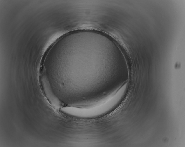 X0000094371277200711241952