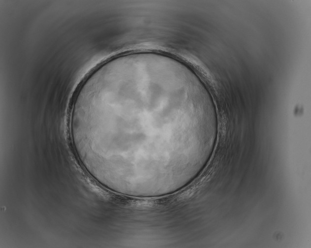 X0000094371278200711241952