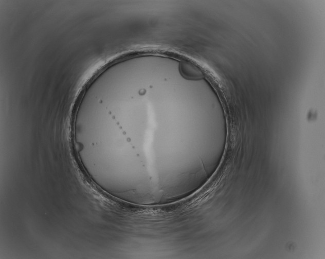 X0000094371279200711241952