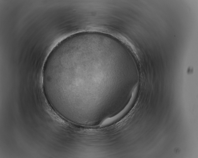 X0000094371280200711241952