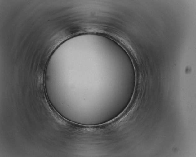 X0000094371281200711241952