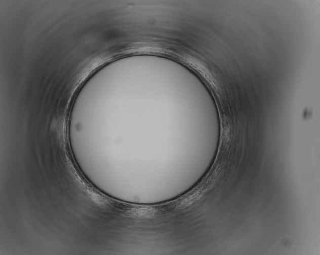 X0000094371282200711241952