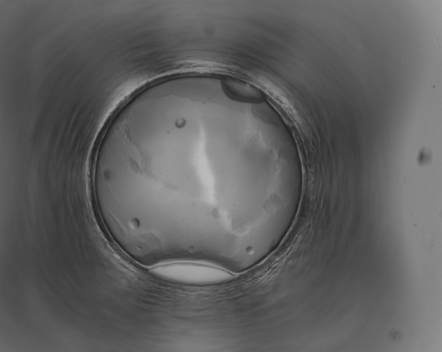 X0000094371283200711241952