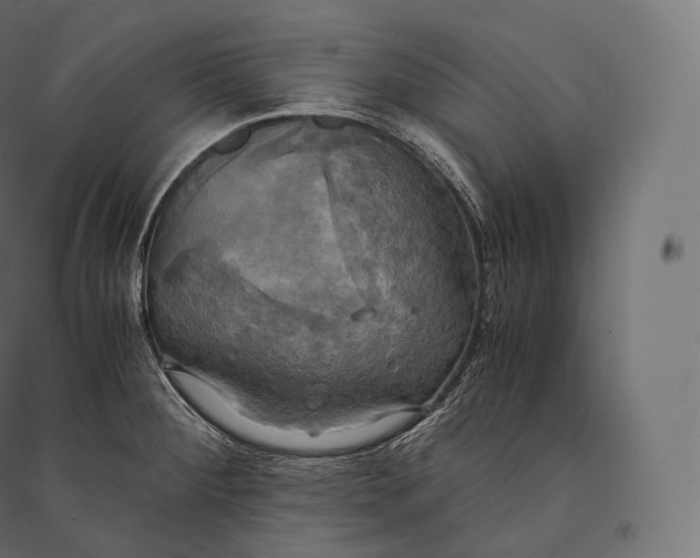 X0000094371284200711241952