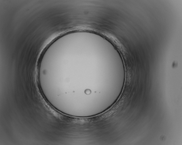 X0000094371286200711241952