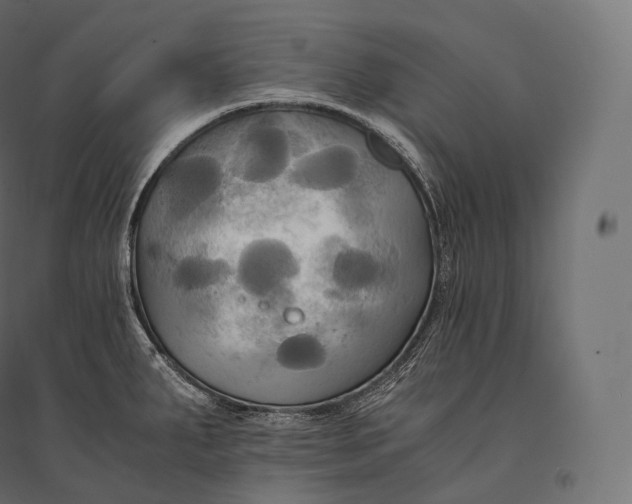 X0000094371287200711241952