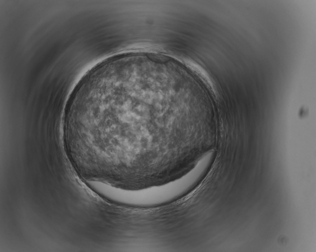 X0000094371288200711241952