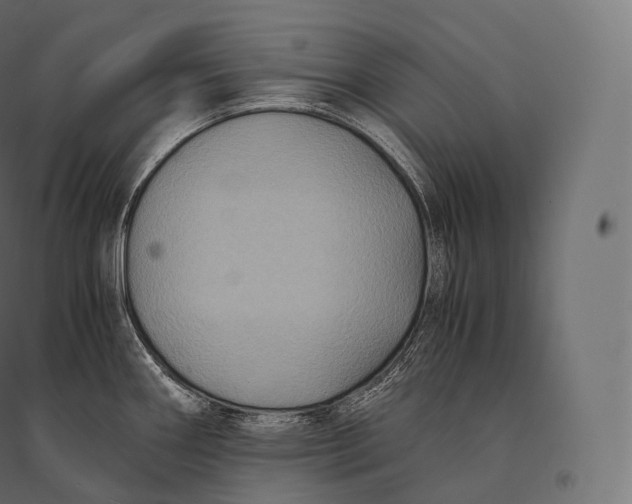 X0000094371290200711241952