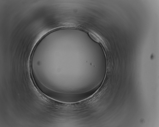 X0000094371291200711241951