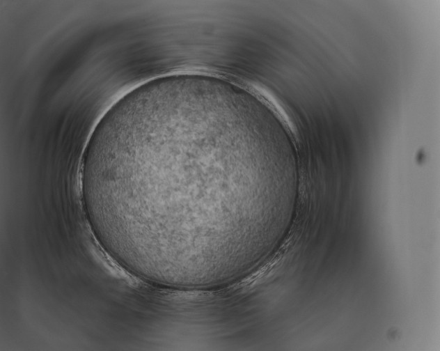 X0000094371292200711241951