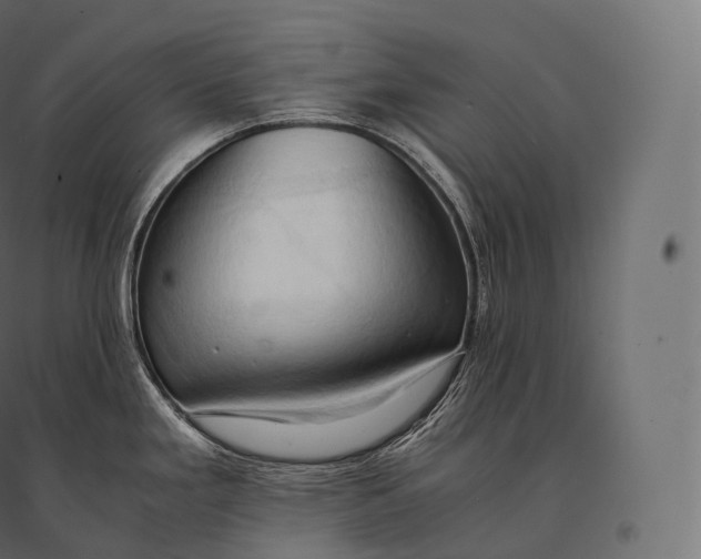 X0000094371293200711241951