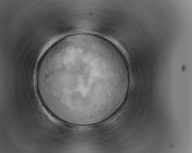 X0000094371294200711241951