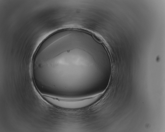 X0000094371295200711241951