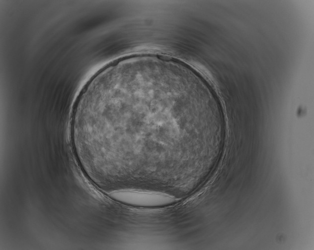 X0000094371296200711241951