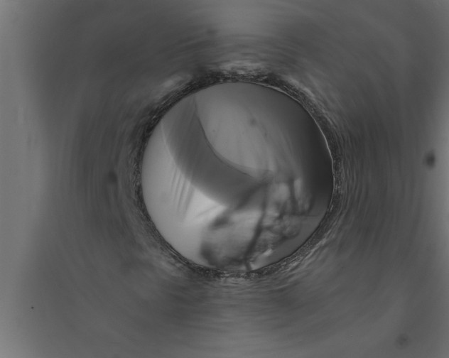 X0000094371297200711241951