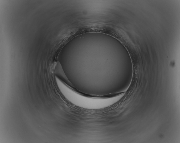 X0000094371298200711241951