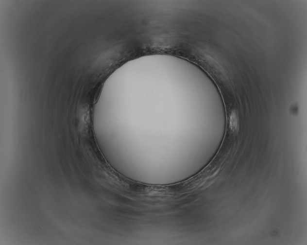 X0000094371299200711241951