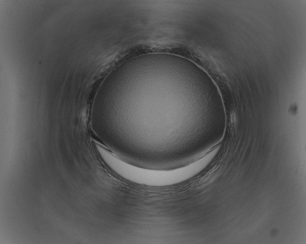 X0000094371300200711241951