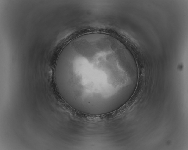 X0000094371302200711241951