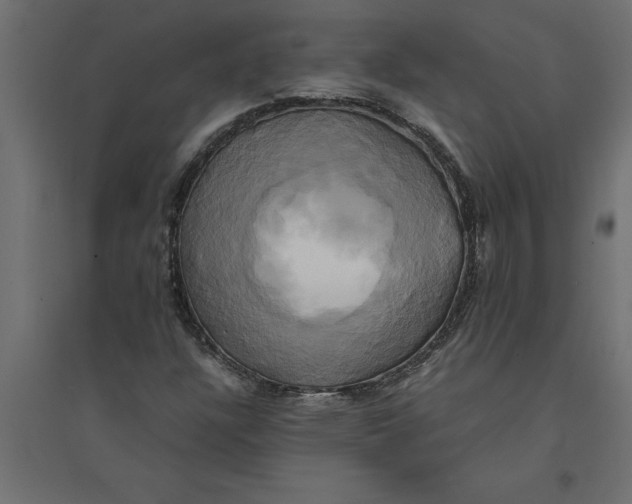 X0000094371304200711241951