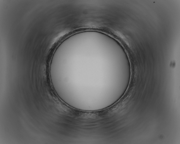 X0000094371307200711241951