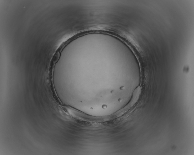 X0000094371308200711241951