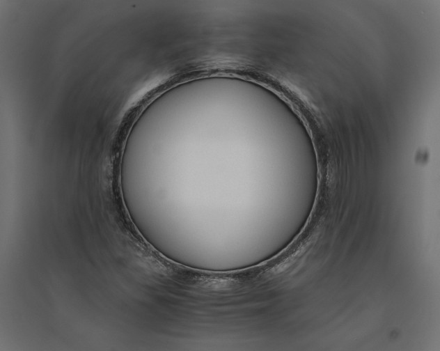 X0000094371309200711241951