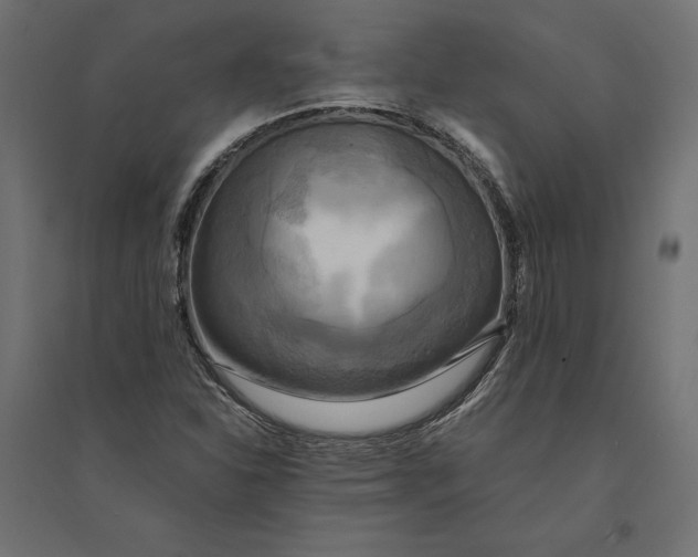 X0000094371310200711241951