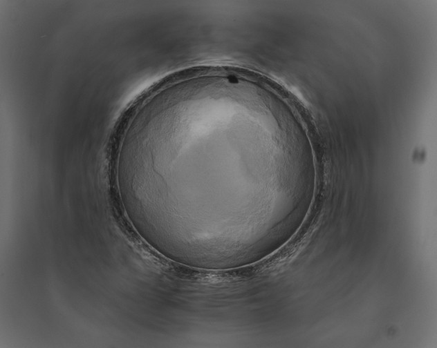 X0000094371311200711241951