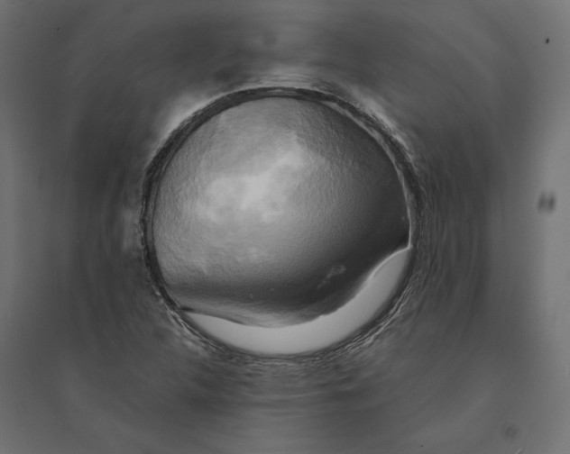 X0000094371312200711241951