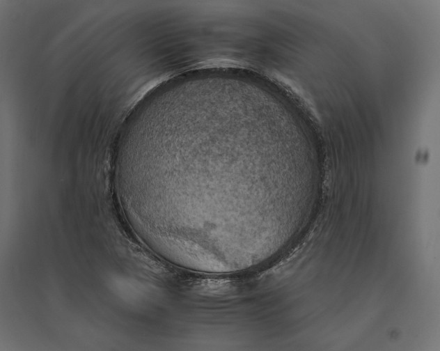 X0000094371313200711241951