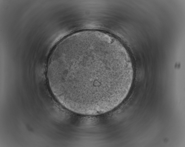 X0000094371314200711241951