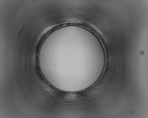 X0000094371315200711241951