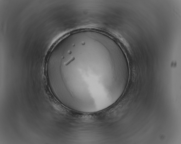 X0000094371316200711241951