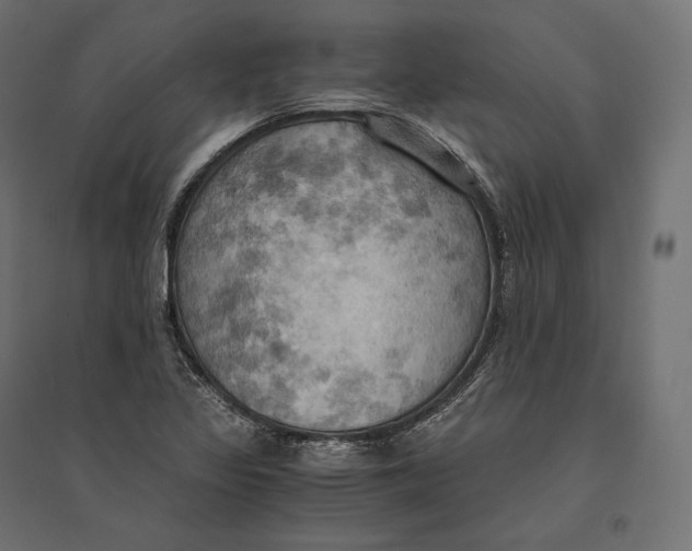 X0000094371317200711241951