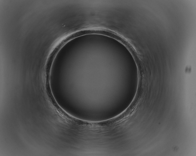 X0000094371319200711241951