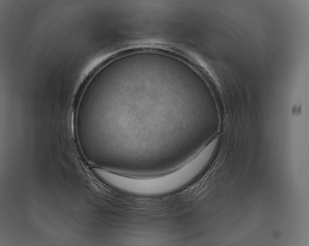 X0000094371320200711241951