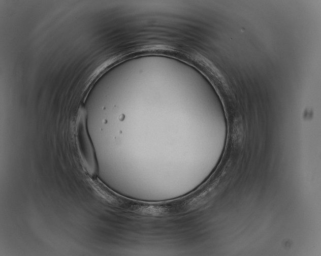 X0000094371321200711241951