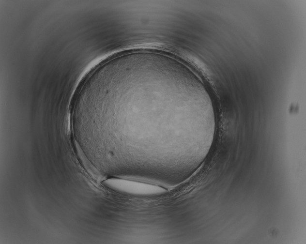 X0000094371324200711241951