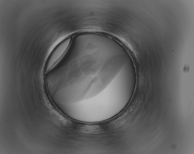 X0000094371325200711241951