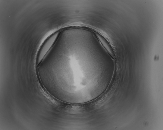 X0000094371326200711241951