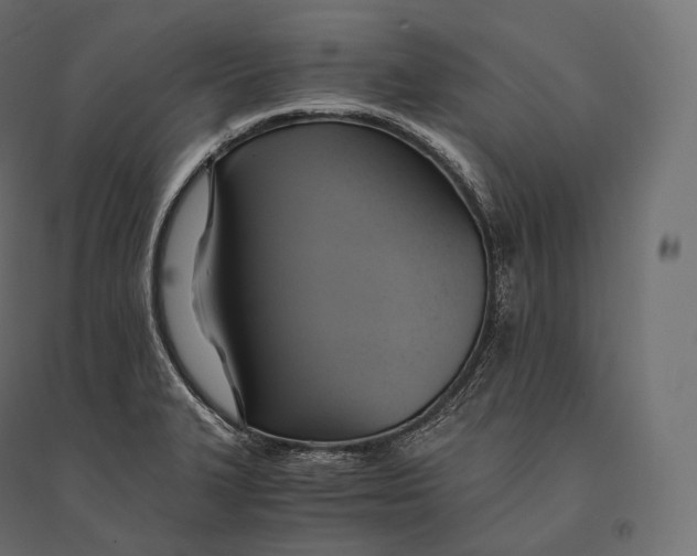 X0000094371327200711241951