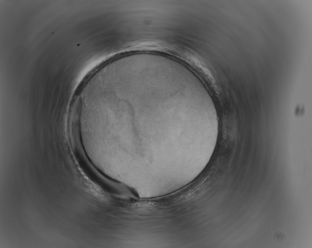 X0000094371328200711241951