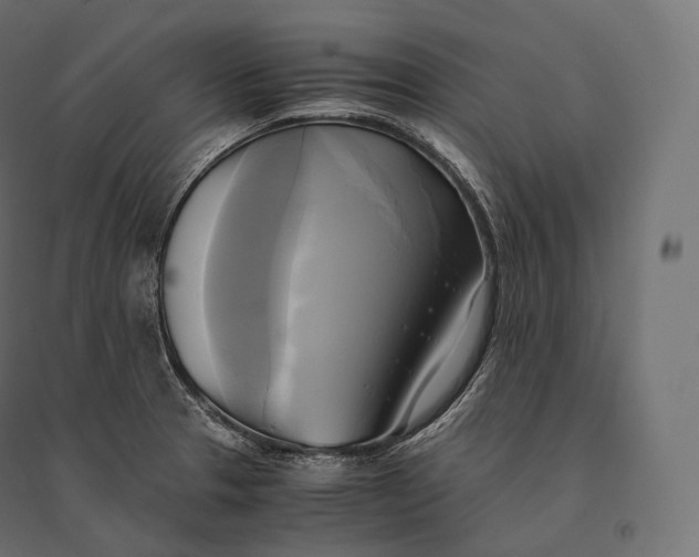 X0000094371329200711241951