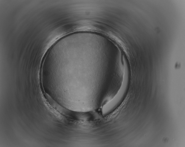 X0000094371330200711241951