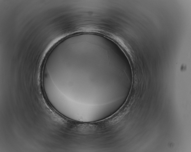 X0000094371331200711241951