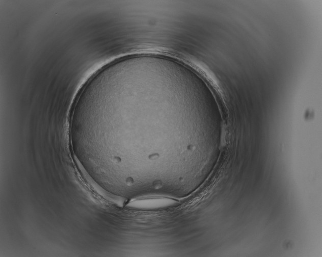 X0000094371332200711241951